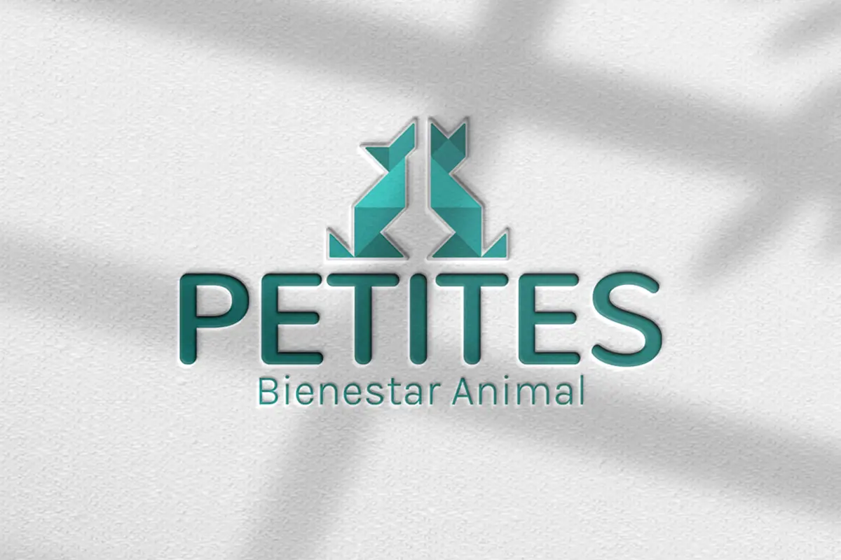 Petites veterinary care brand strategy, visual identity system and UX design