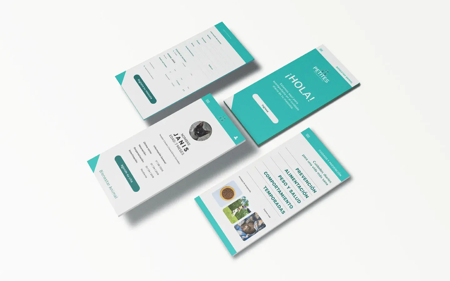 Digital application and signage visual identity for Petites